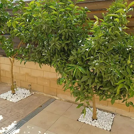 Felicity 2-Br Villa With Private Pool Near Kapparis Beach Rated 10 Out Of 10 빌라