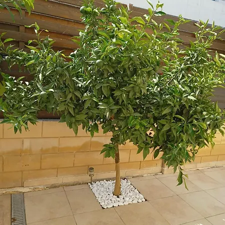 Felicity 2-Br Villa With Private Pool Near Kapparis Beach Rated 10 Out Of 10 * 파라림니