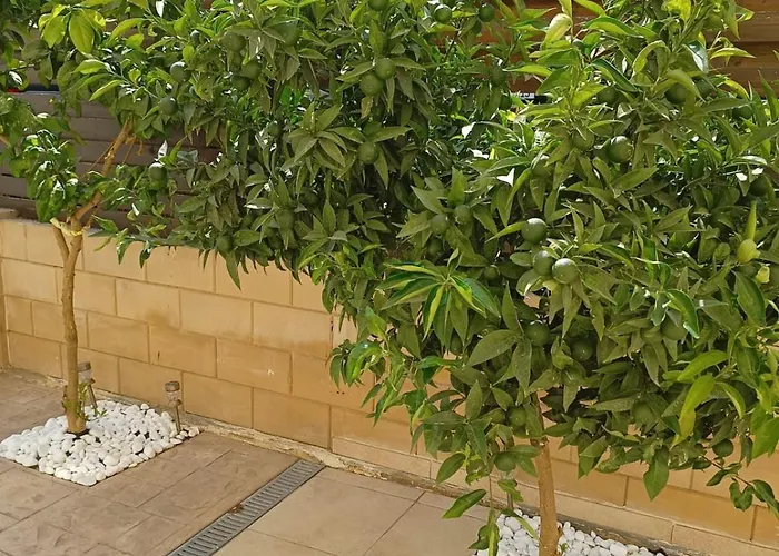 Felicity 2-Br Villa With Private Pool Near Kapparis Beach Rated 10 Out Of 10 빌라