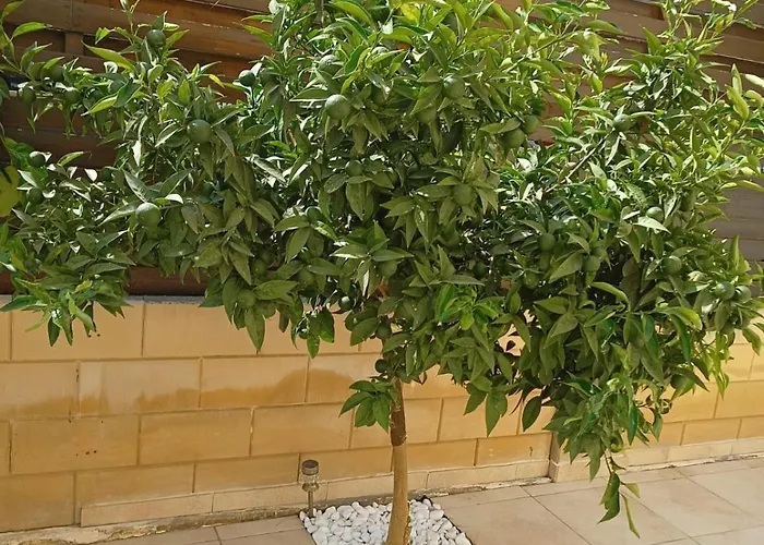 Felicity 2-Br Villa With Private Pool Near Kapparis Beach Rated 10 Out Of 10 * 파라림니