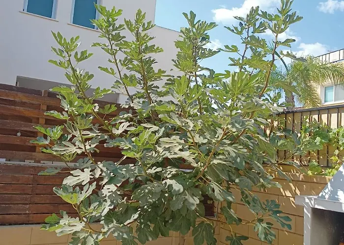 Felicity 2-Br Villa With Private Pool Near Kapparis Beach Rated 10 Out Of 10 파라림니